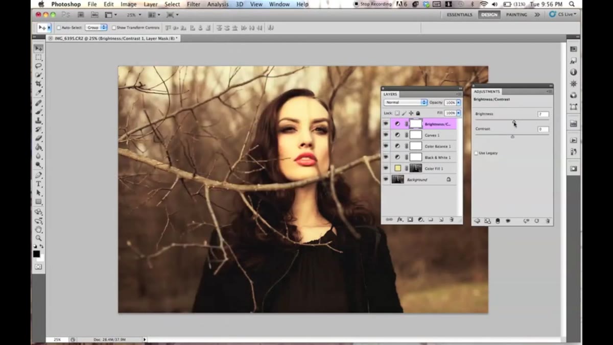 Brightness Contrast panel with subtle adjustments applied