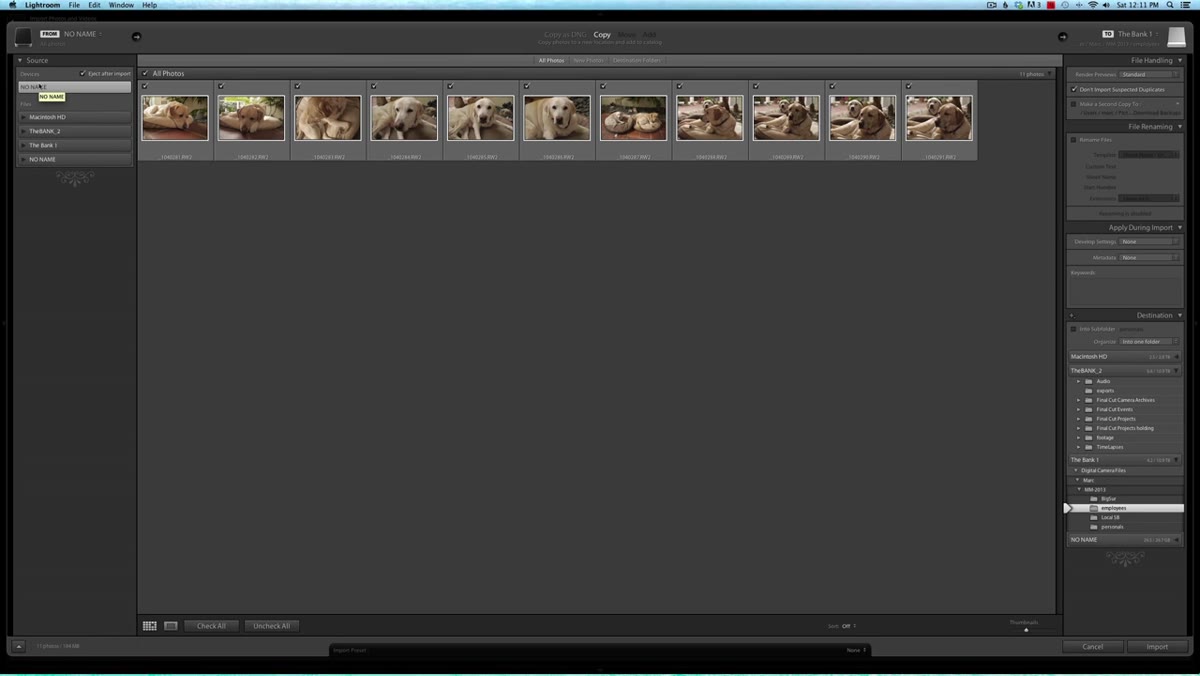 Lightroom import screen showing Copy option selected at top center