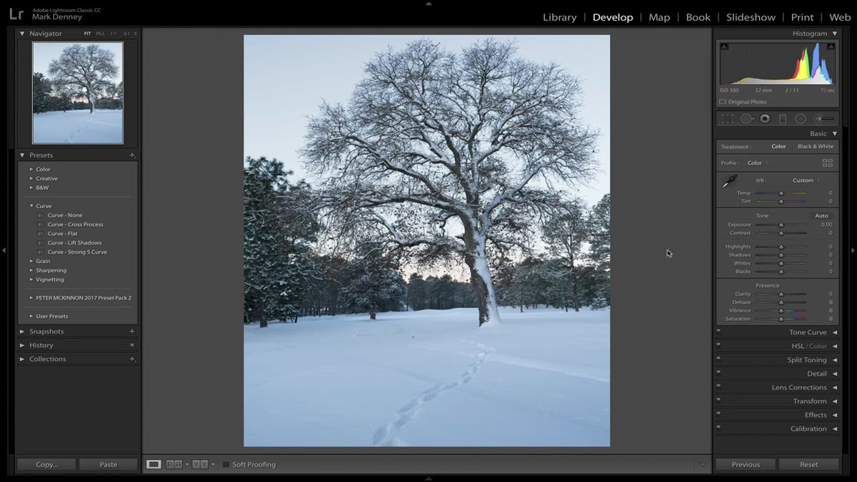 Canvas right-click menu with white background selected