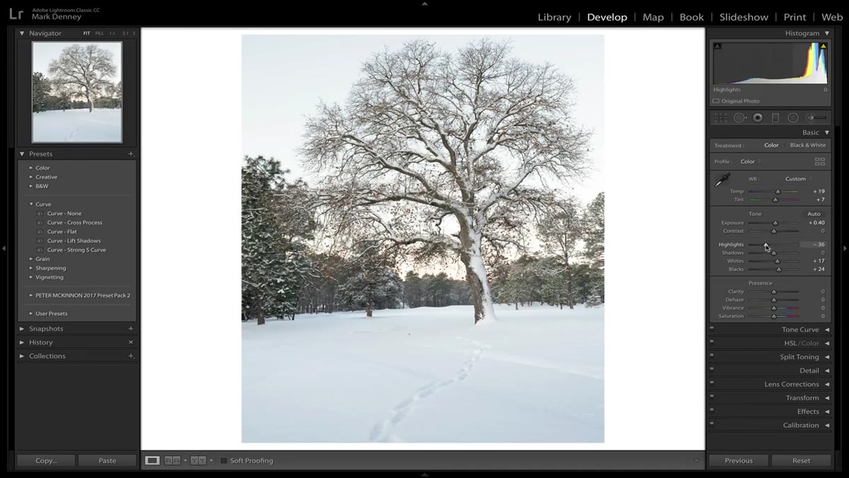 Color Grading or HSL panel being used to add warmth to midtones