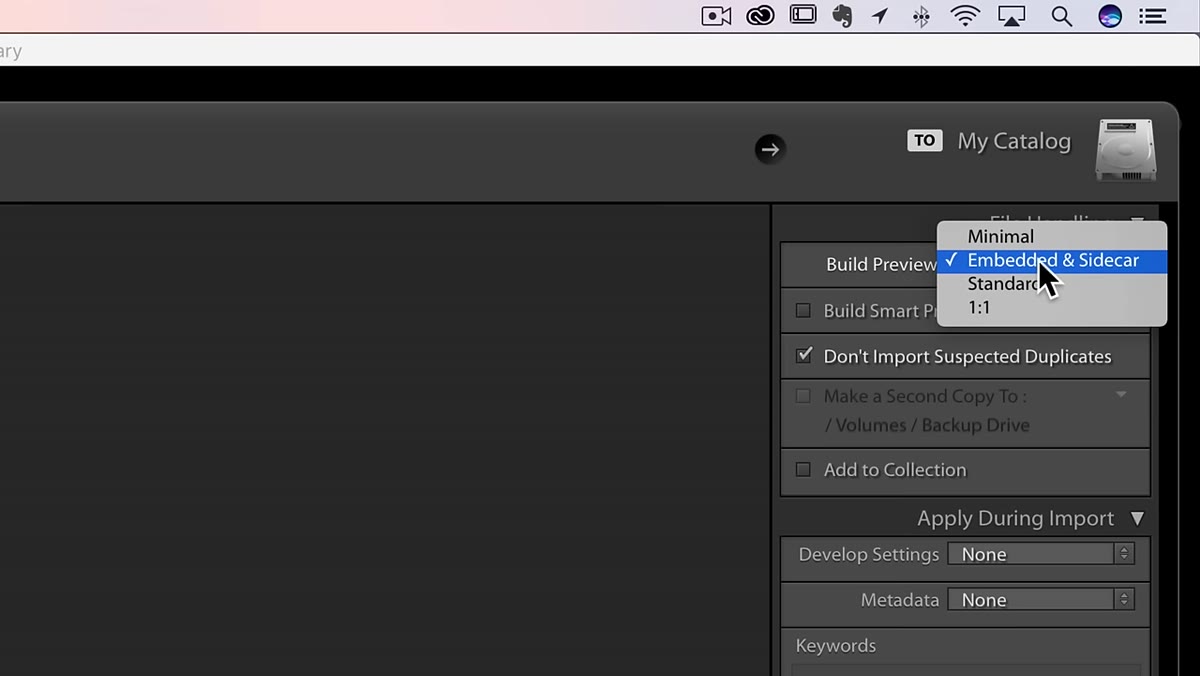 File Handling panel with Embedded and Sidecar option highlighted