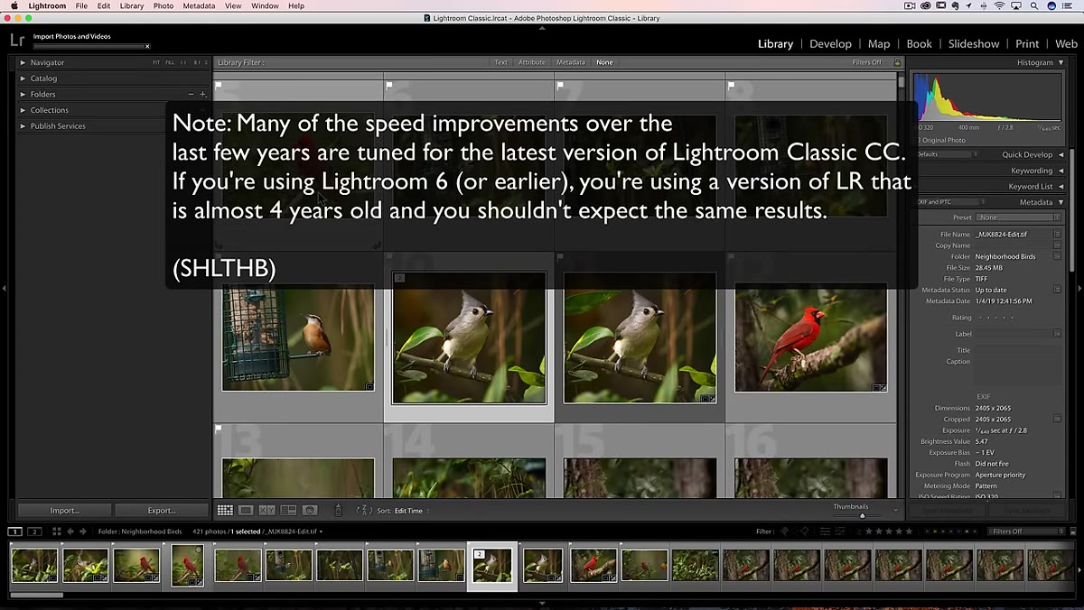 Lightroom Library module showing imported photo grid