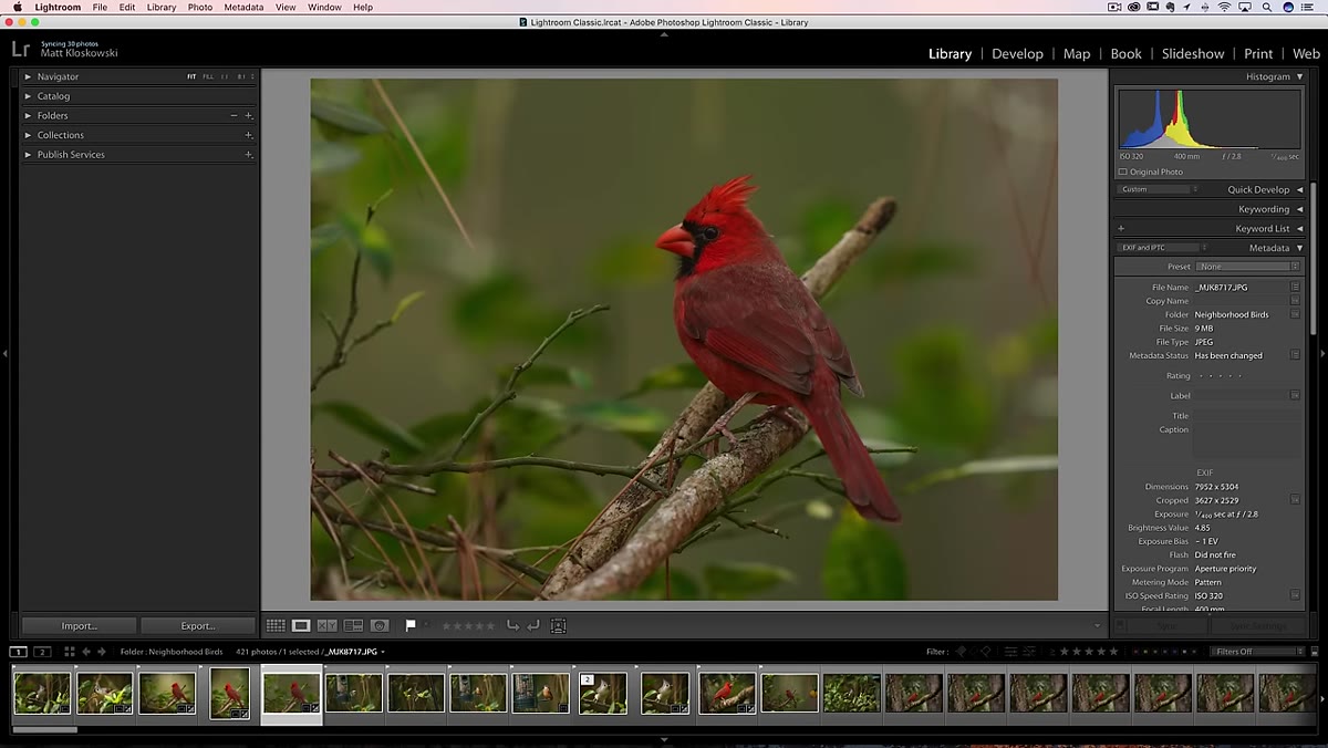 Single photo enlarged in Library module loupe view
