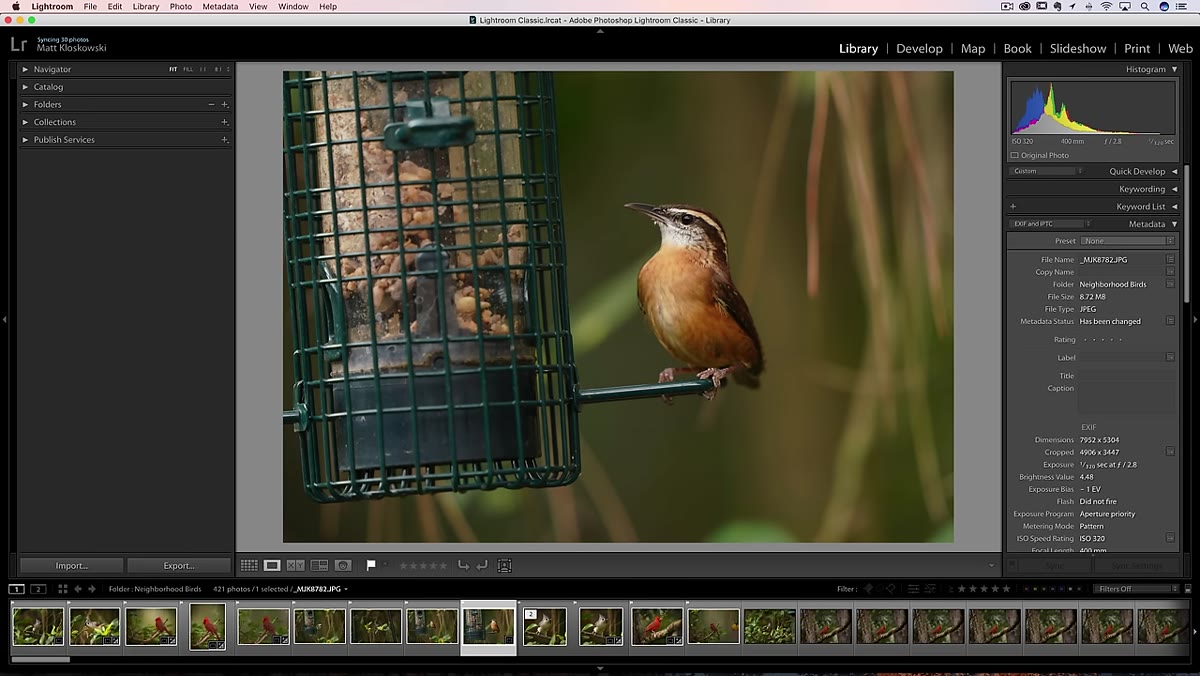 Right arrow key advancing quickly through photos in Library