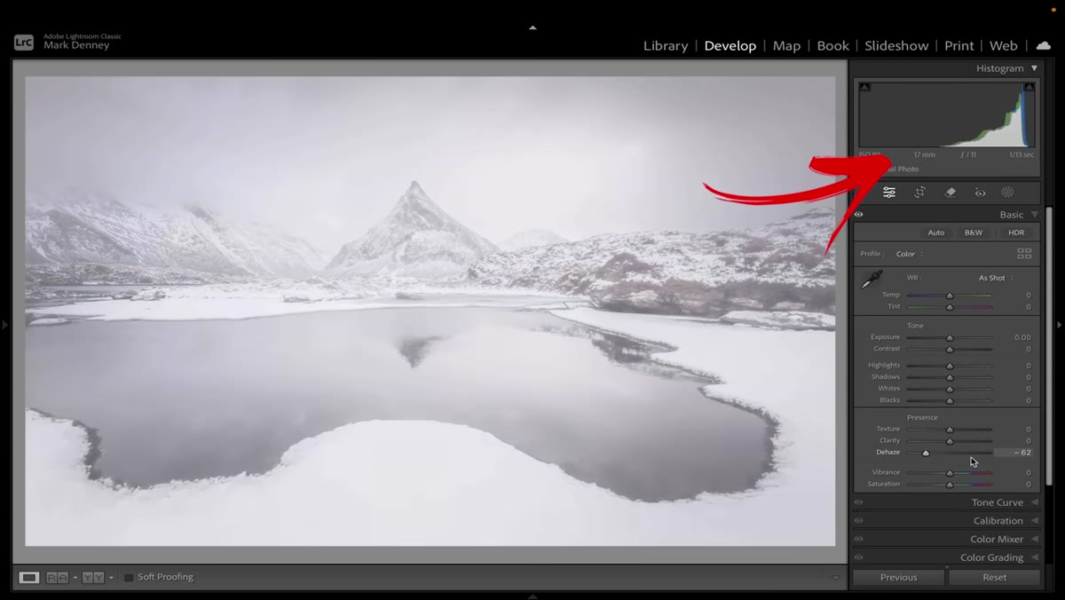 Dehaze applied globally showing histogram shift and color saturation increase