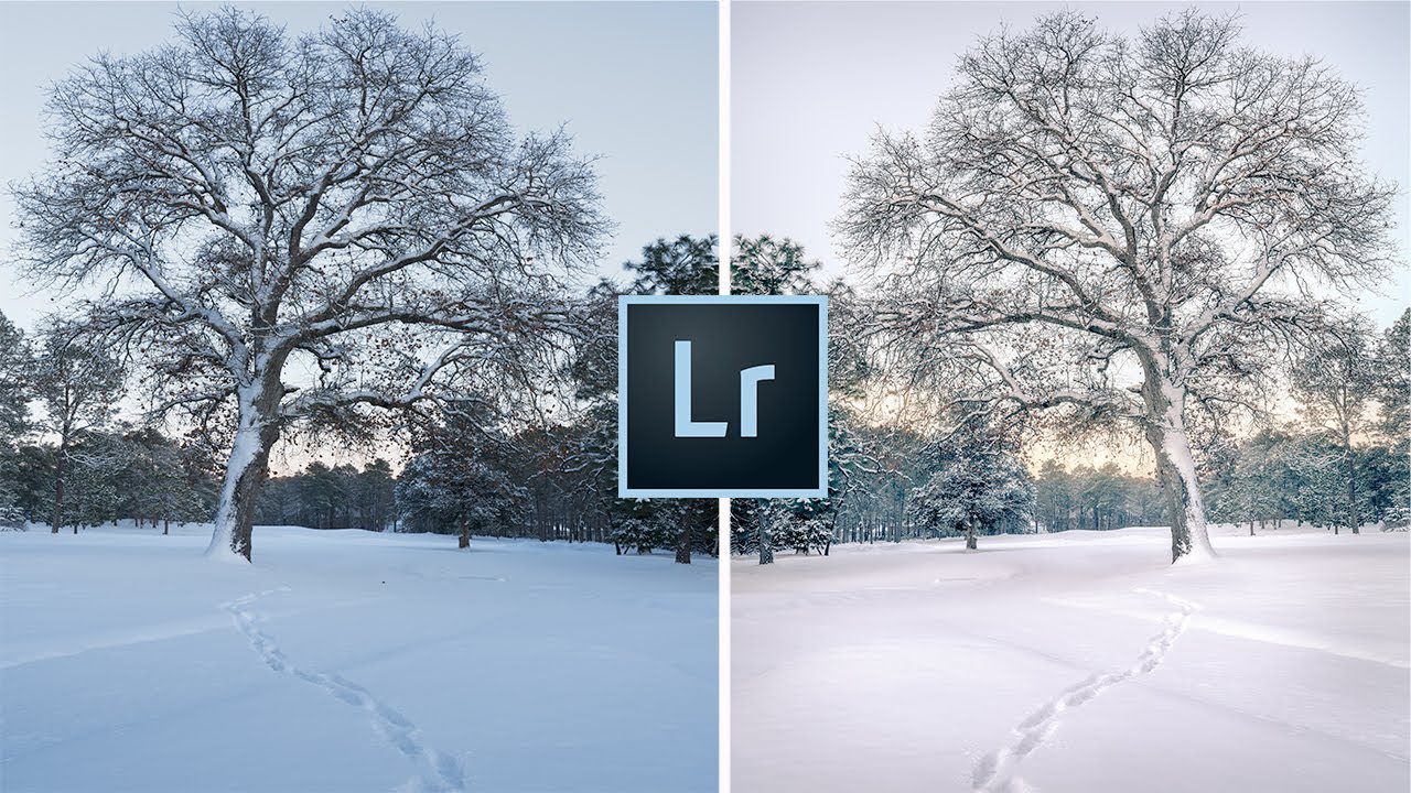 White Snow, Warm Mess: 7 Lightroom Fixes That Actually Work on Winter Photos